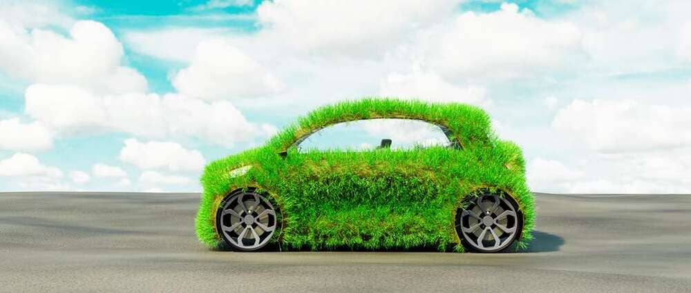 What Are Biofuels And Which Ones Can You Use In Your Vehicle?